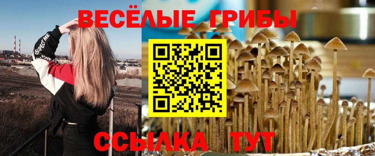 Нововоронеж  Вход с VPN  Конопля  Меф МЯУ МЯУ   ГАШИШ  Гашиш  Cocaine 