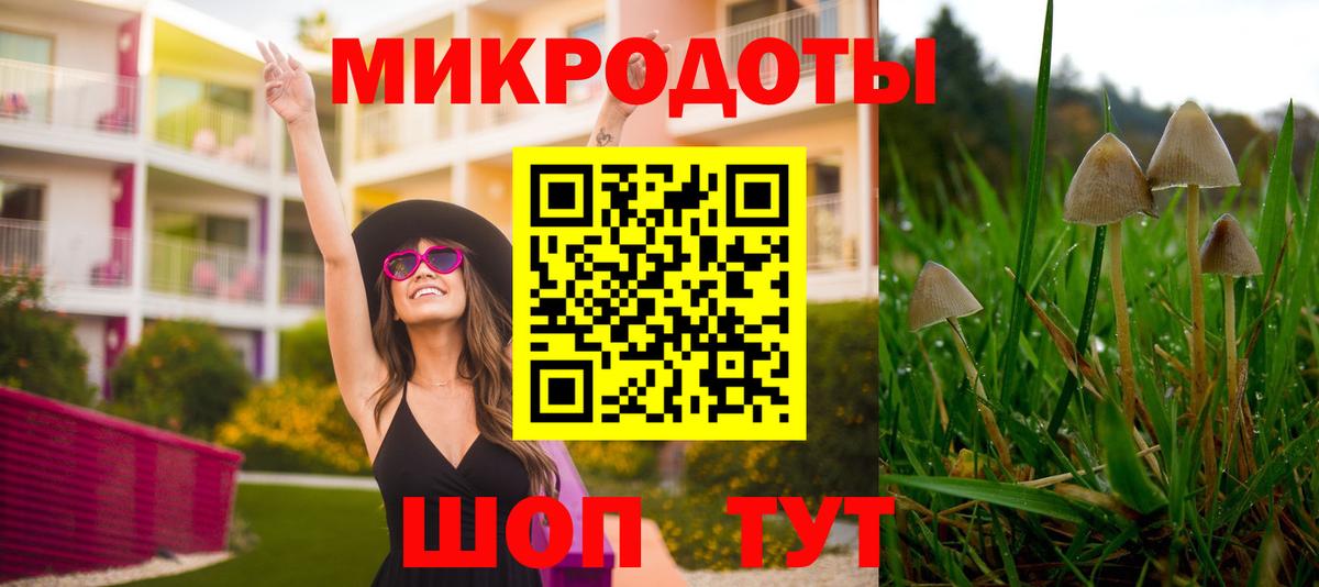 Галлюциногенные грибы мицелий  Галлюциногенные грибы GOLDEN TEACHER  Нововоронеж  Вход с VPN 